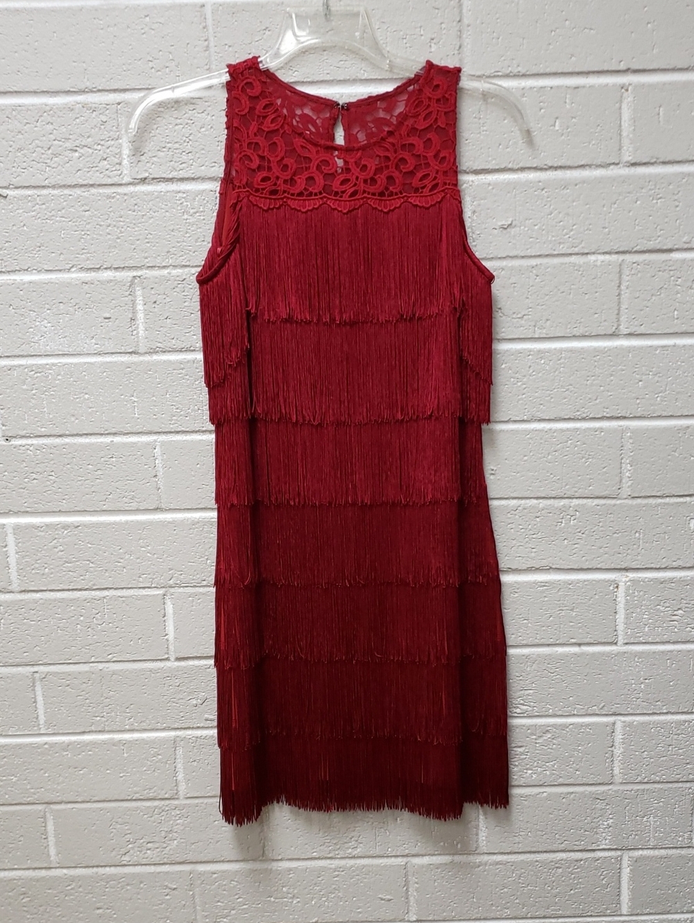 Sleeveless Red Fringe Lace Dress